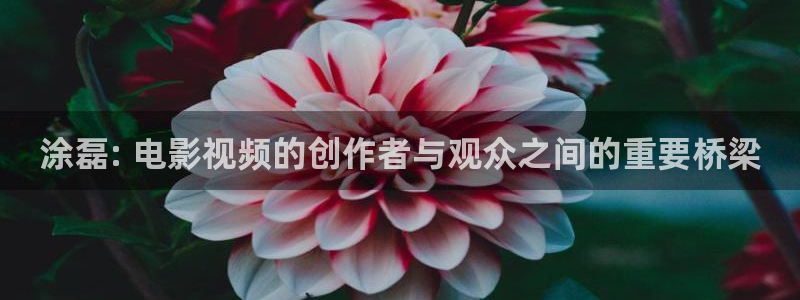 午夜大片剧场