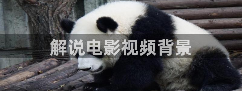 午夜特色私人影院