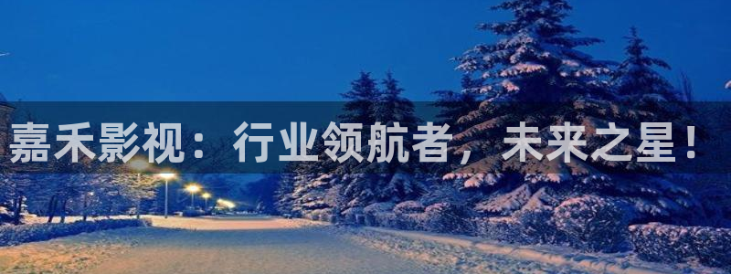 国产午夜免费伦理片