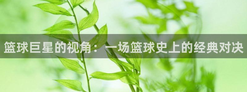 日韩成人午夜av