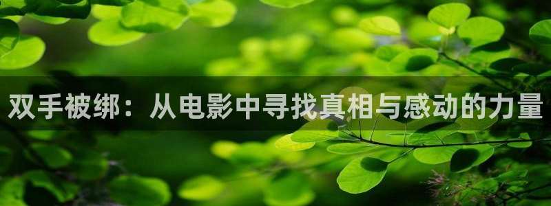 成人午夜在线看