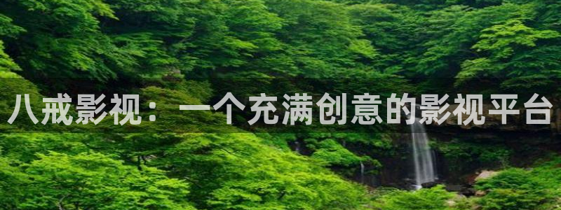 午夜大片儿