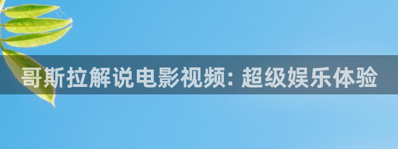 理论午夜在线免费