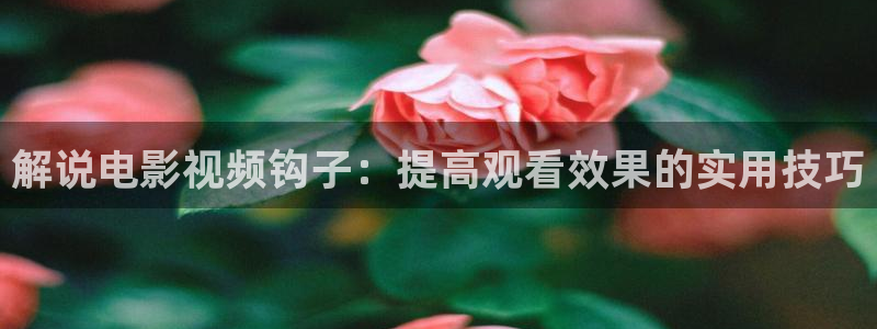 新闻图片