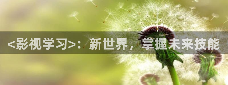 八戒午夜理论电影