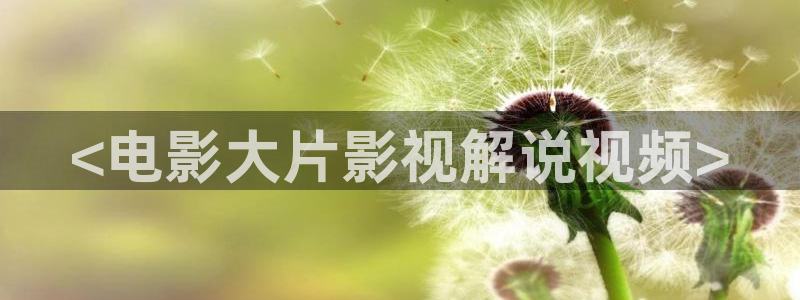 神马午夜午视频