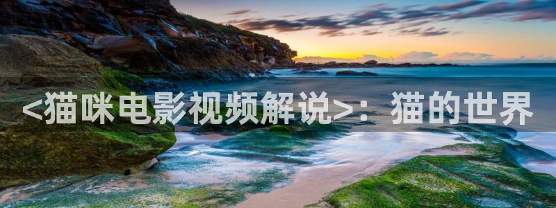 4848午夜影院