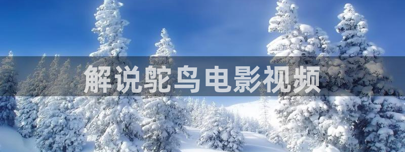 免费又黄又爽又猛大片午夜第几集