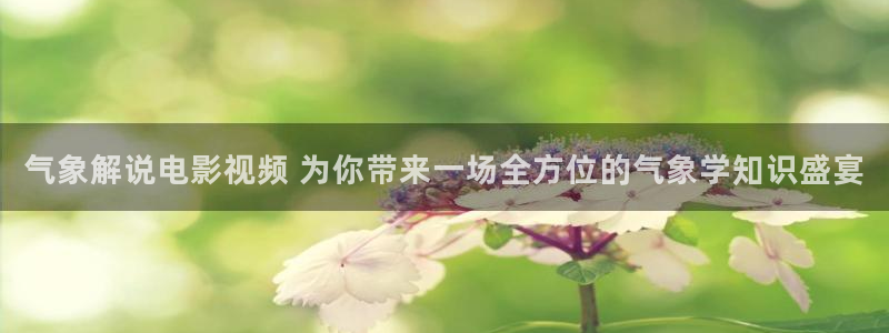 午夜情感电影