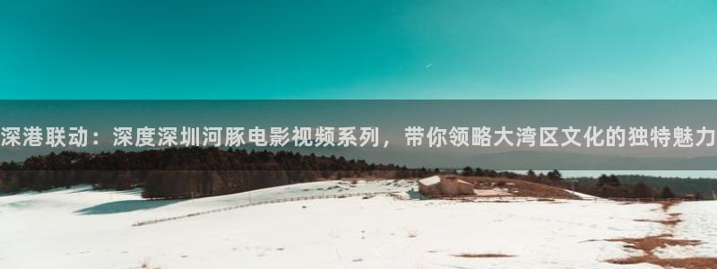 午夜免费激情av