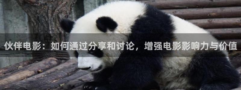 伦理片午夜片