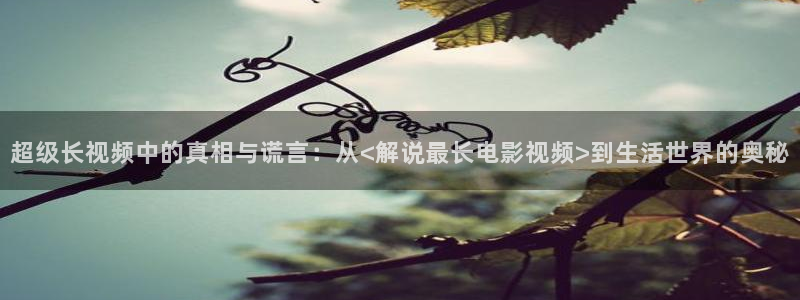 新闻图片