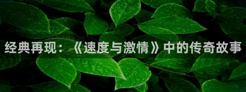 新闻图片