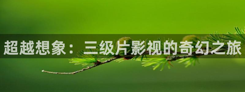 新闻图片